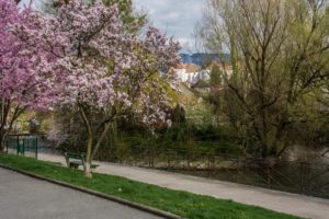 Promenade Lachenal canal Thiou lac Annecy vieille-ville escapade nature